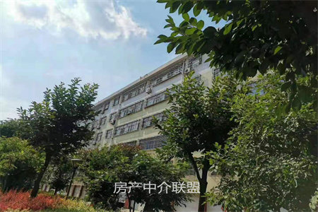 蓝润十年城2室2厅1卫63万67m2精装出售